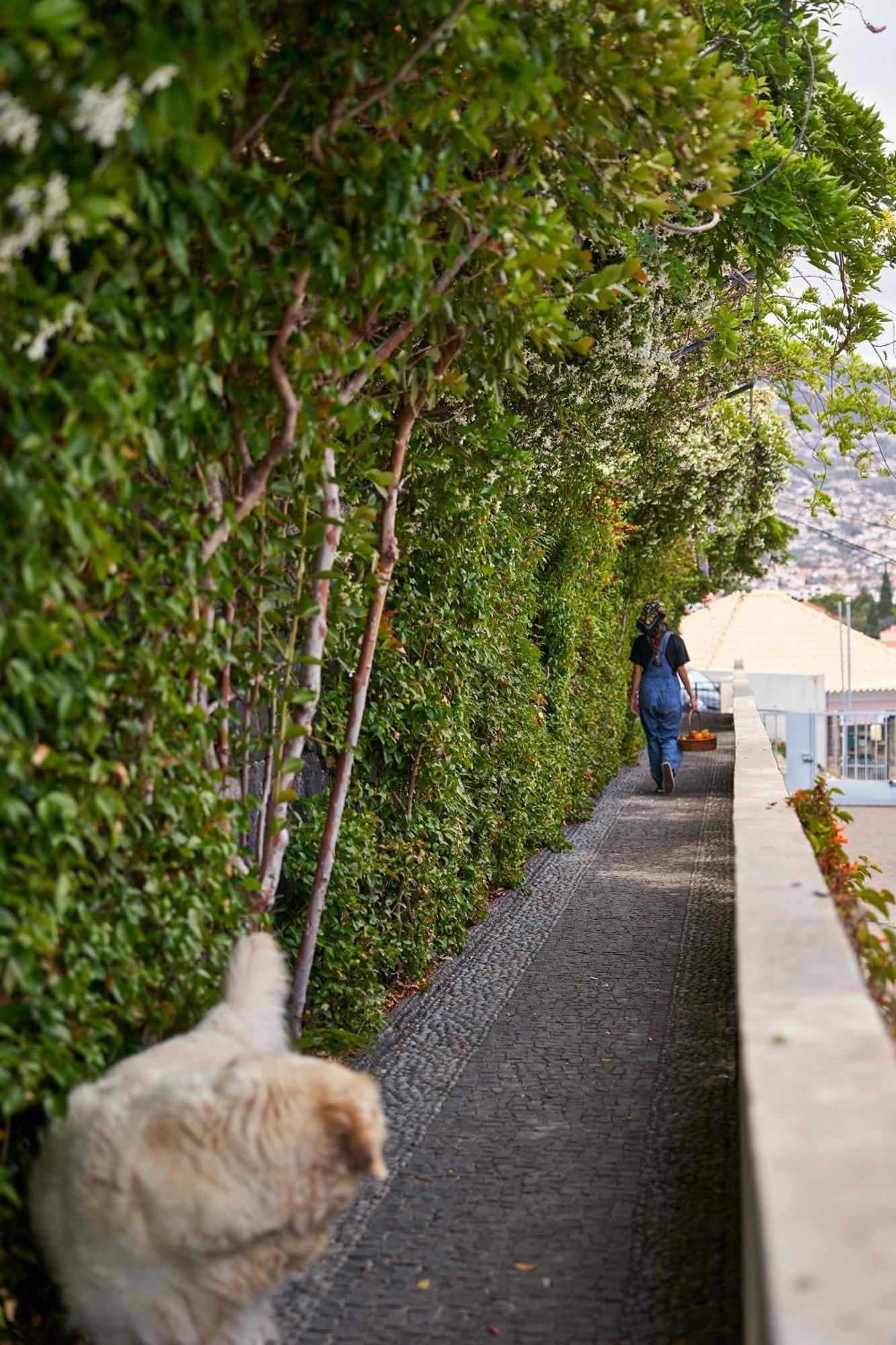 Bordal Houses Funchal  Exterior photo